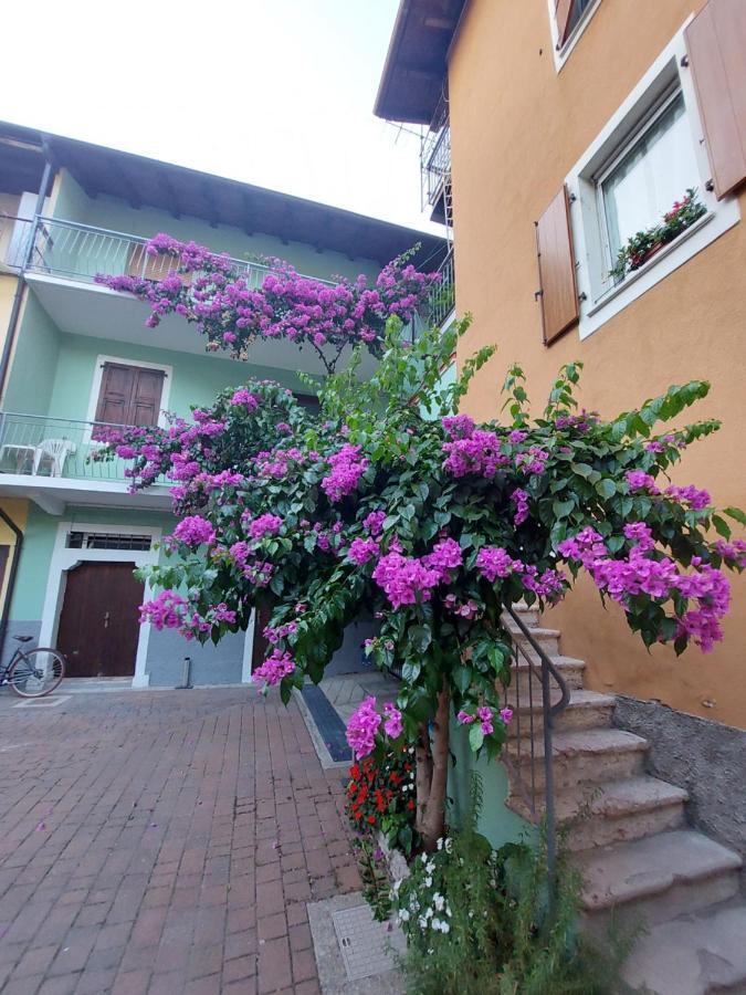 טורבולה La Bougainville - Luxury Apartment מראה חיצוני תמונה